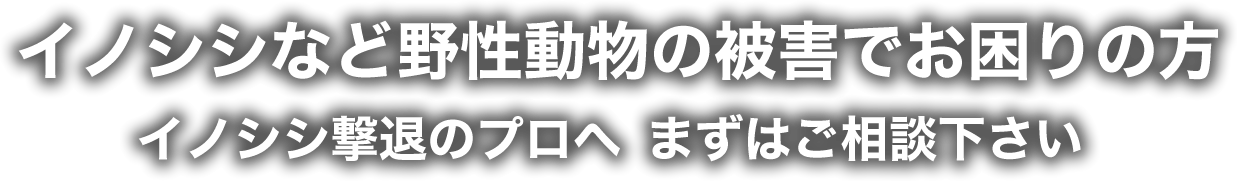 イノシシなど野生動物の被害でお困りの方、イノシシ撃退のプロへまずはご相談ください