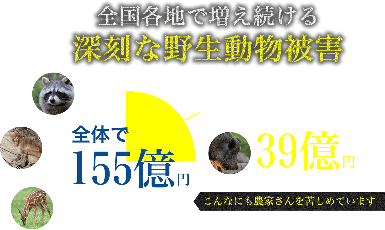 全国各地で増え続ける深刻な野生動物被害イノシシ、小動物（タヌキ、アライグマ、ハクビシン、サル、ネコなど）