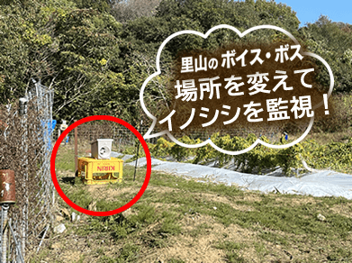 里山のボイス・ボスの場所を変えてイノシシを監視！