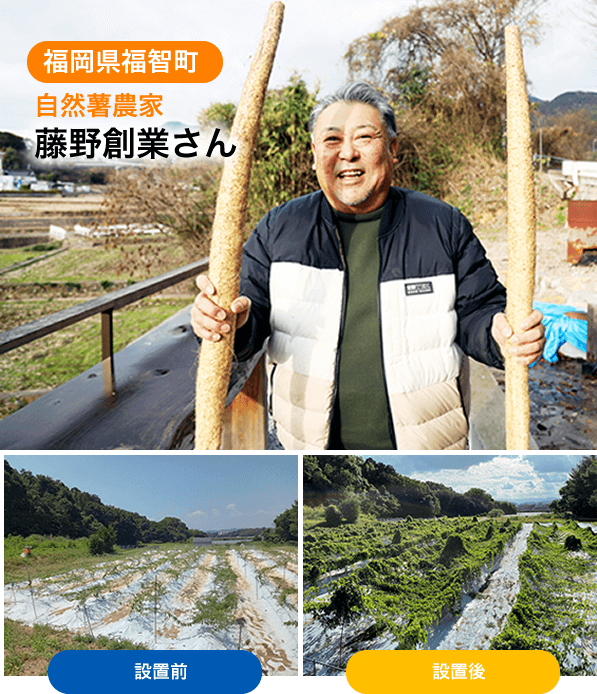 福岡県福智町　自然薯農家　藤野創業さん