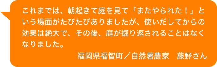 これまでは、朝起きて庭を見て「またやられた」という場面がたびたびありましたが、使いだしてからの効果は絶大で、その後、庭が掘り返されることはなくなりました。